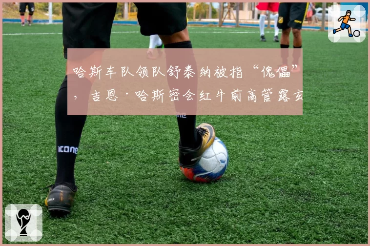 哈斯车队领队舒泰纳被指“傀儡”，吉恩·哈斯密会红牛前高管露玄机