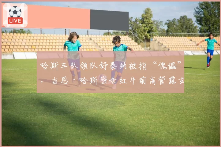 哈斯车队领队舒泰纳被指“傀儡”，吉恩·哈斯密会红牛前高管露玄机